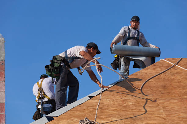 Best Emergency Roof Repair  in Trion, GA