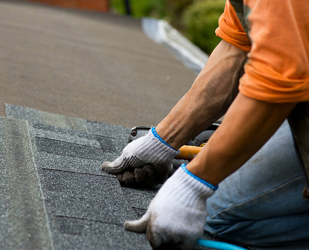 Best Storm Damage Roof Repair  in Trion, GA