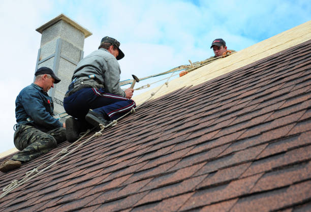 Best Local Roofing Companies  in Trion, GA